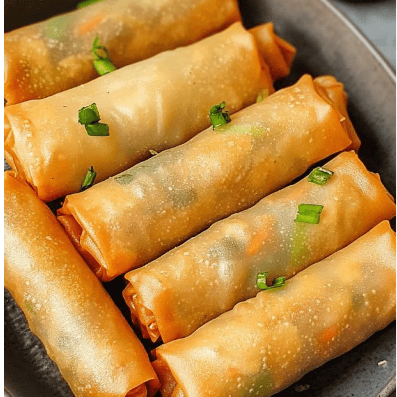 Vegetable Spring Roll (5).