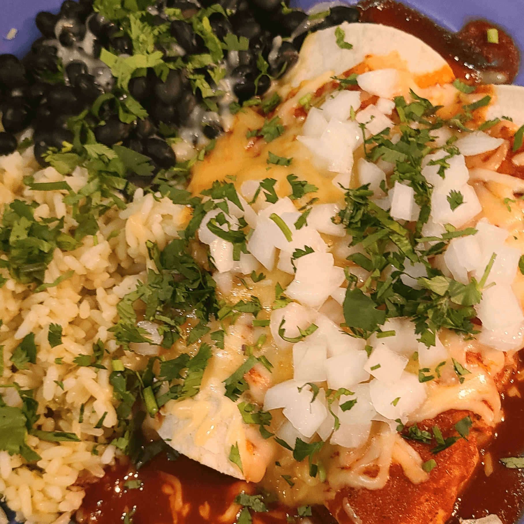 Birria Enchiladas.