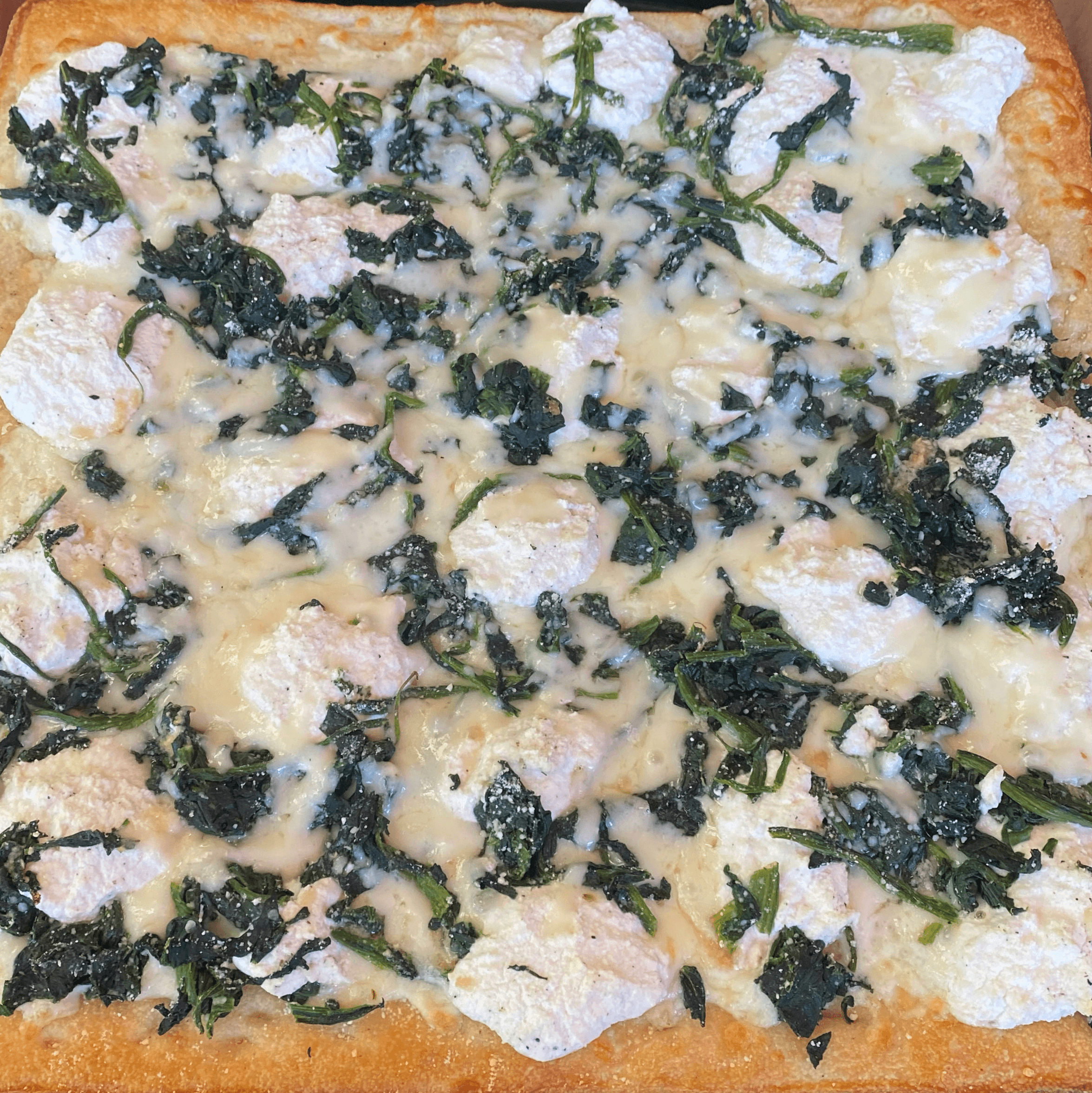 Spinach White Ricotta.