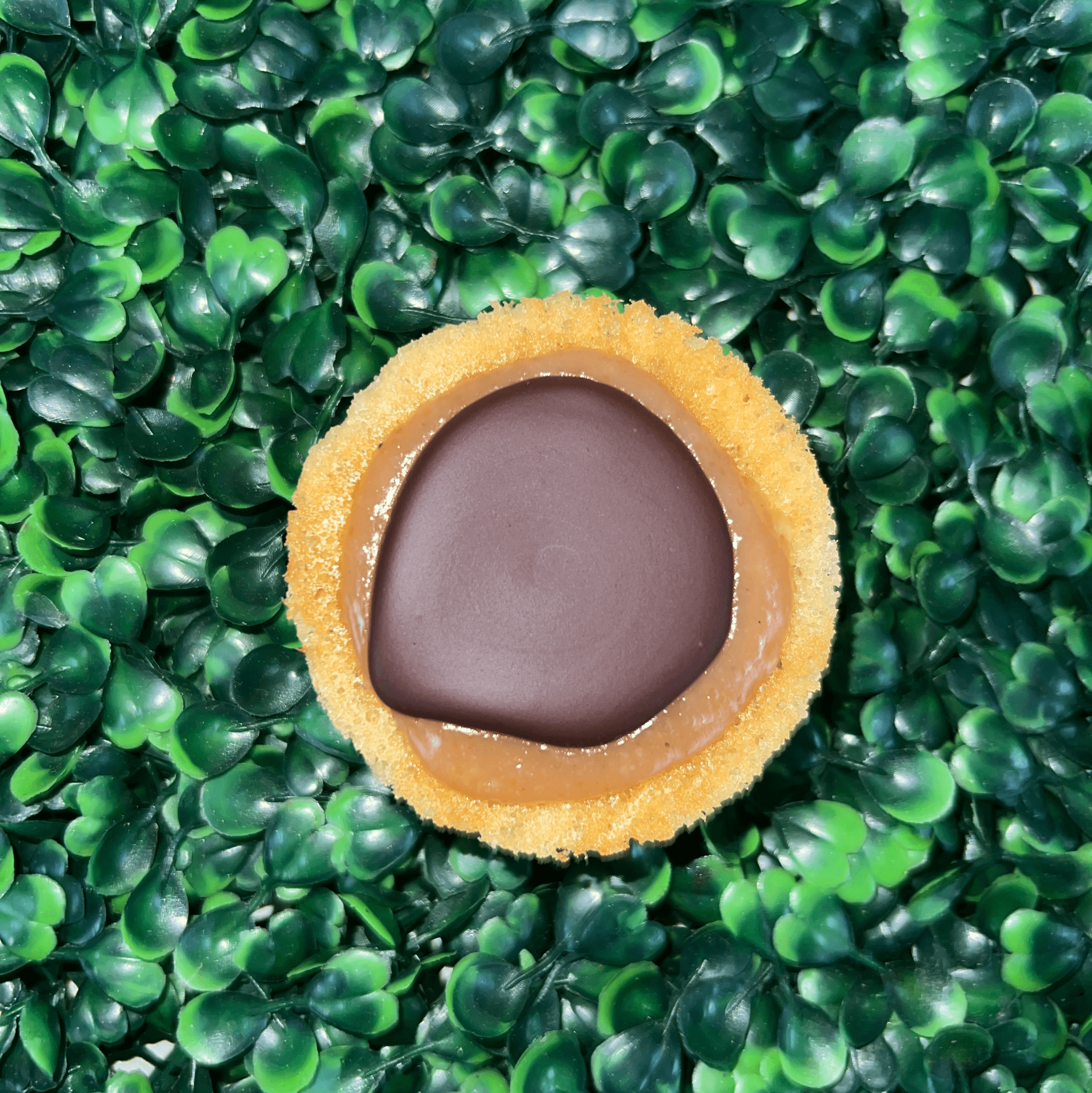 Chocolate Peanut Butter Candy Cake.