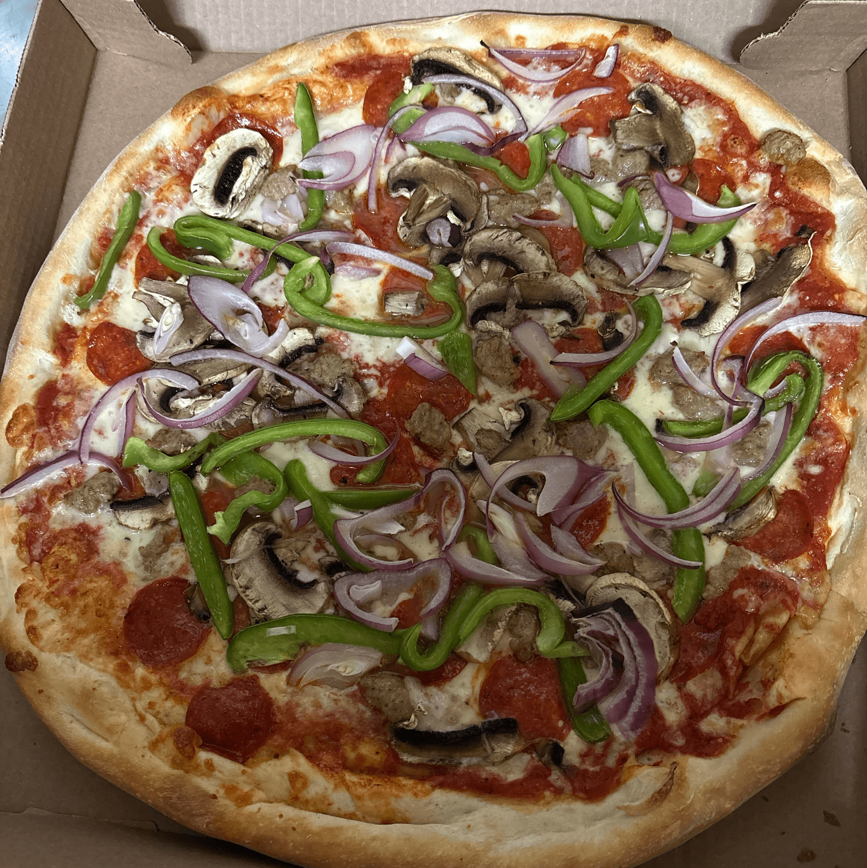 Shakey Pizza (Large 16").