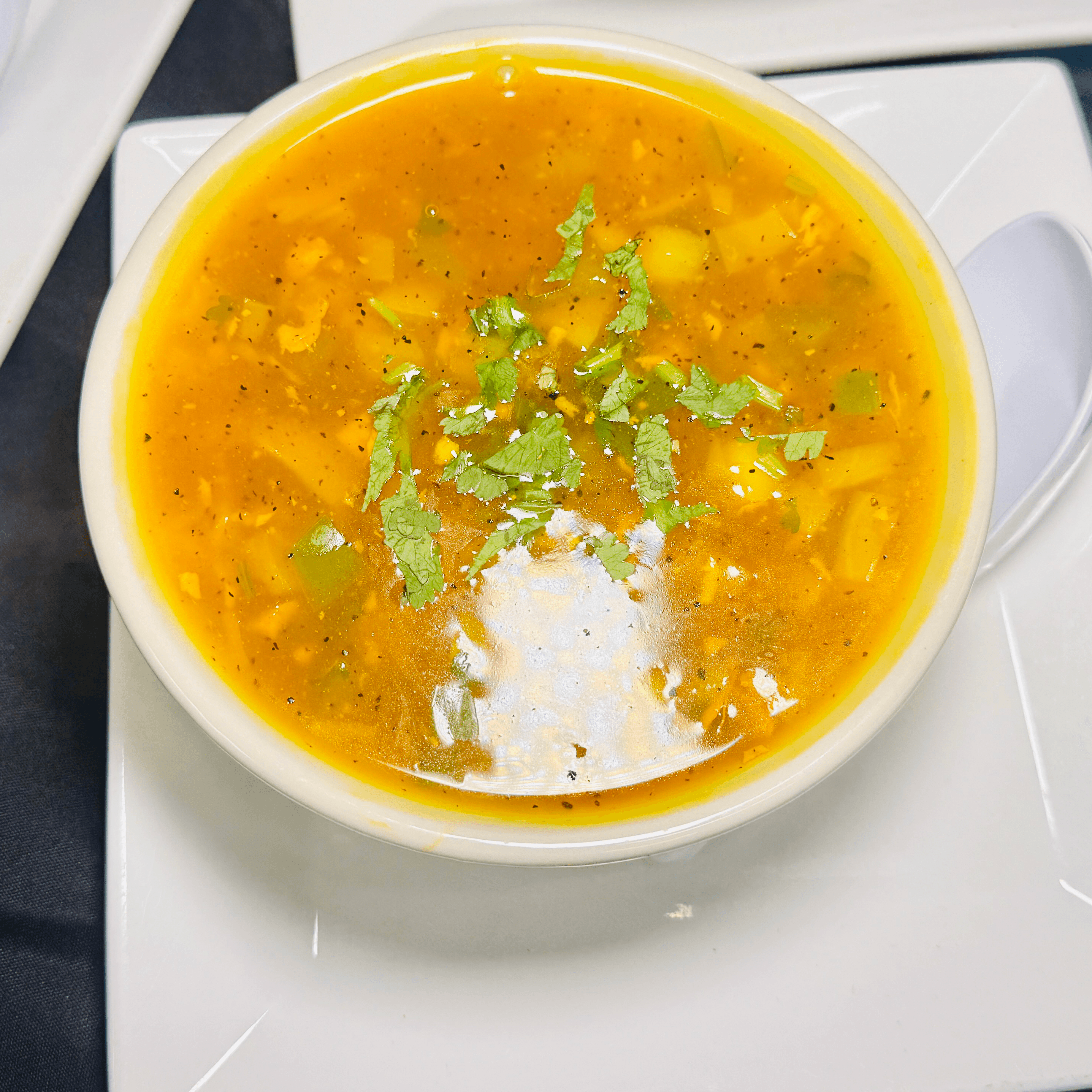 Hot & Sour Soup (Chicken).