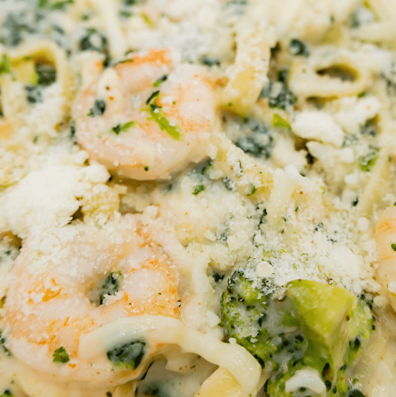 Shrimp Alfredo Pasta.