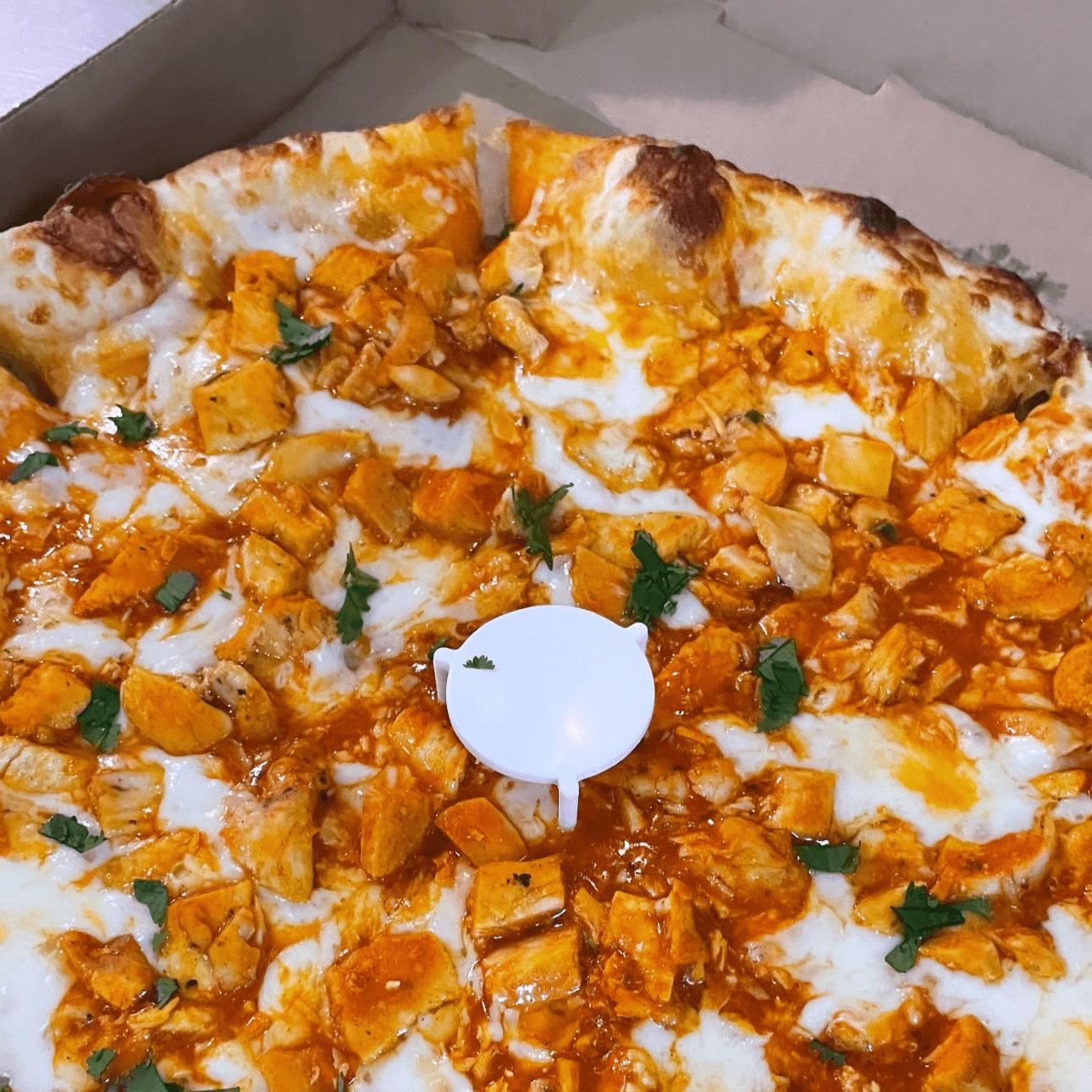 10" Buffalo Chicken (Blaze).