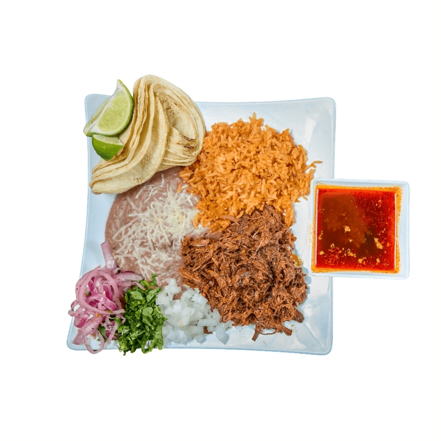 Birria Plate with 8 Corn Tortillas.