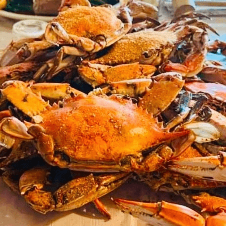 Fresh MD Blue Crabs #2 (Medium)Males Half Dozen.