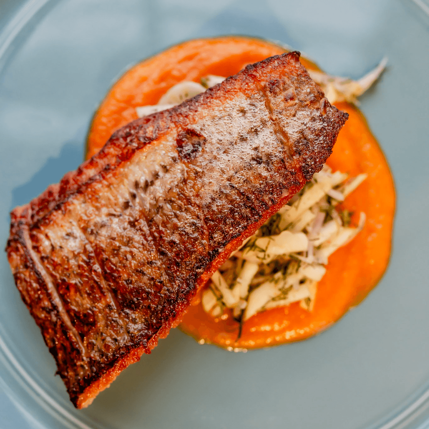 Florida Mango Salmon.