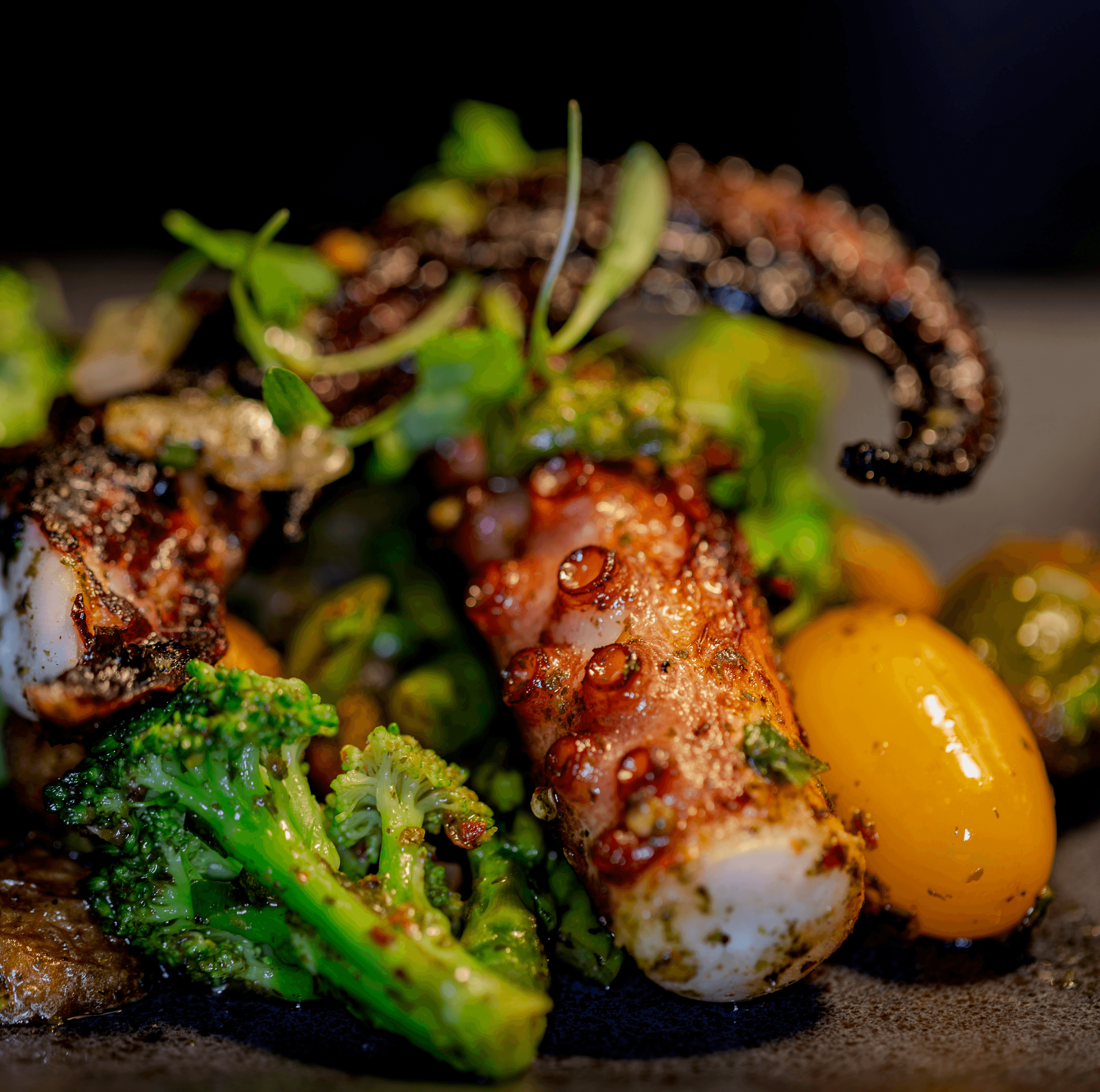 Grilled Octopus.