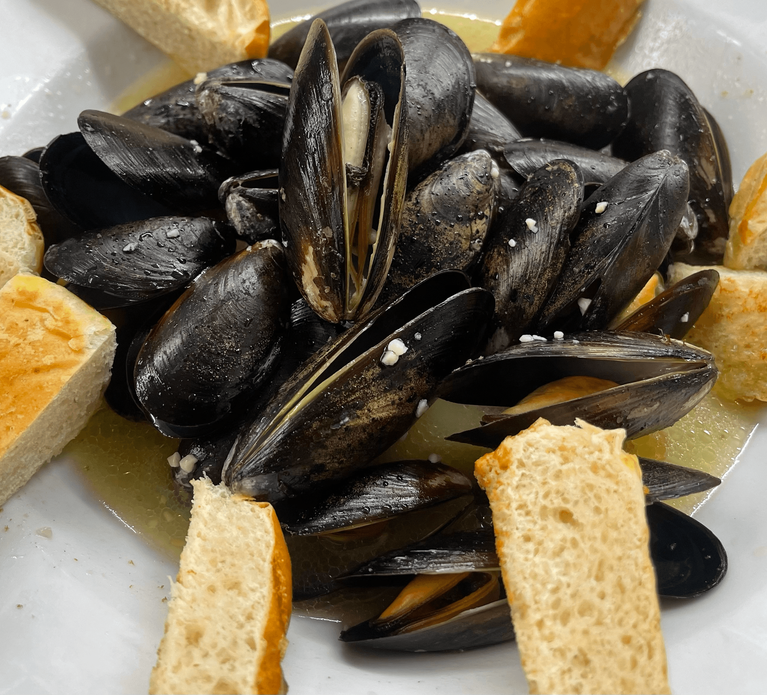 Mussels.