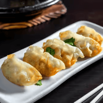 Fried Chicken Gyoza