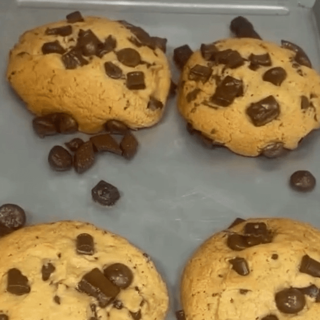 Chocolate Chip Cookie (4.5oz)