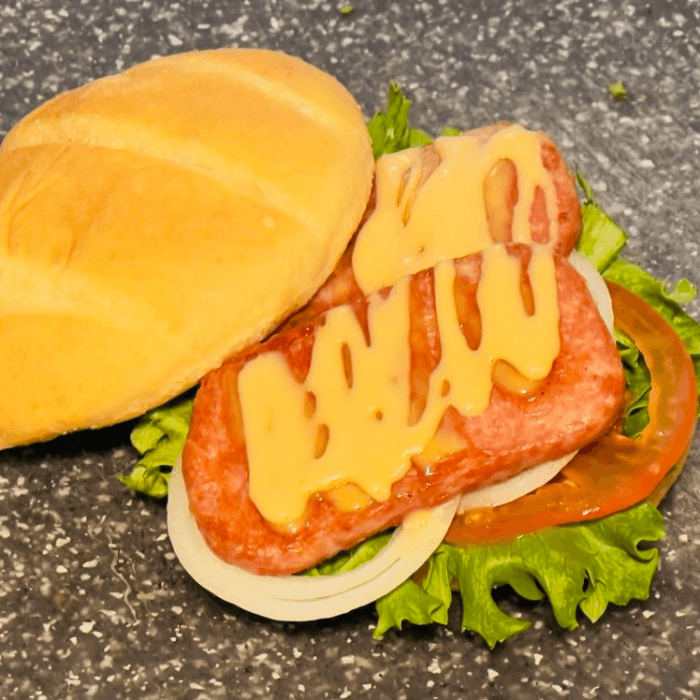Spam Burger