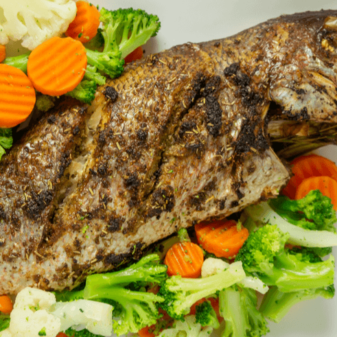 Snapper Fish