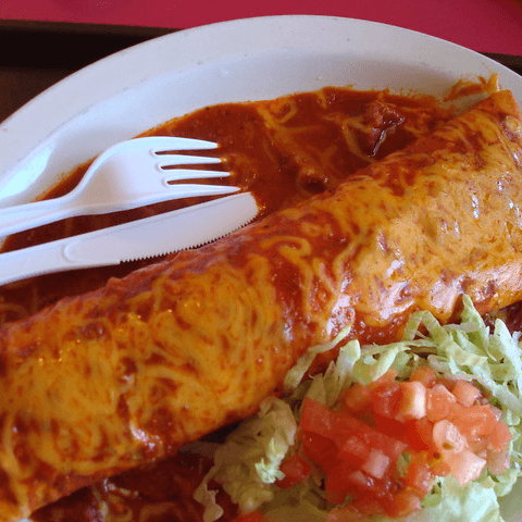 Red Chile Burro