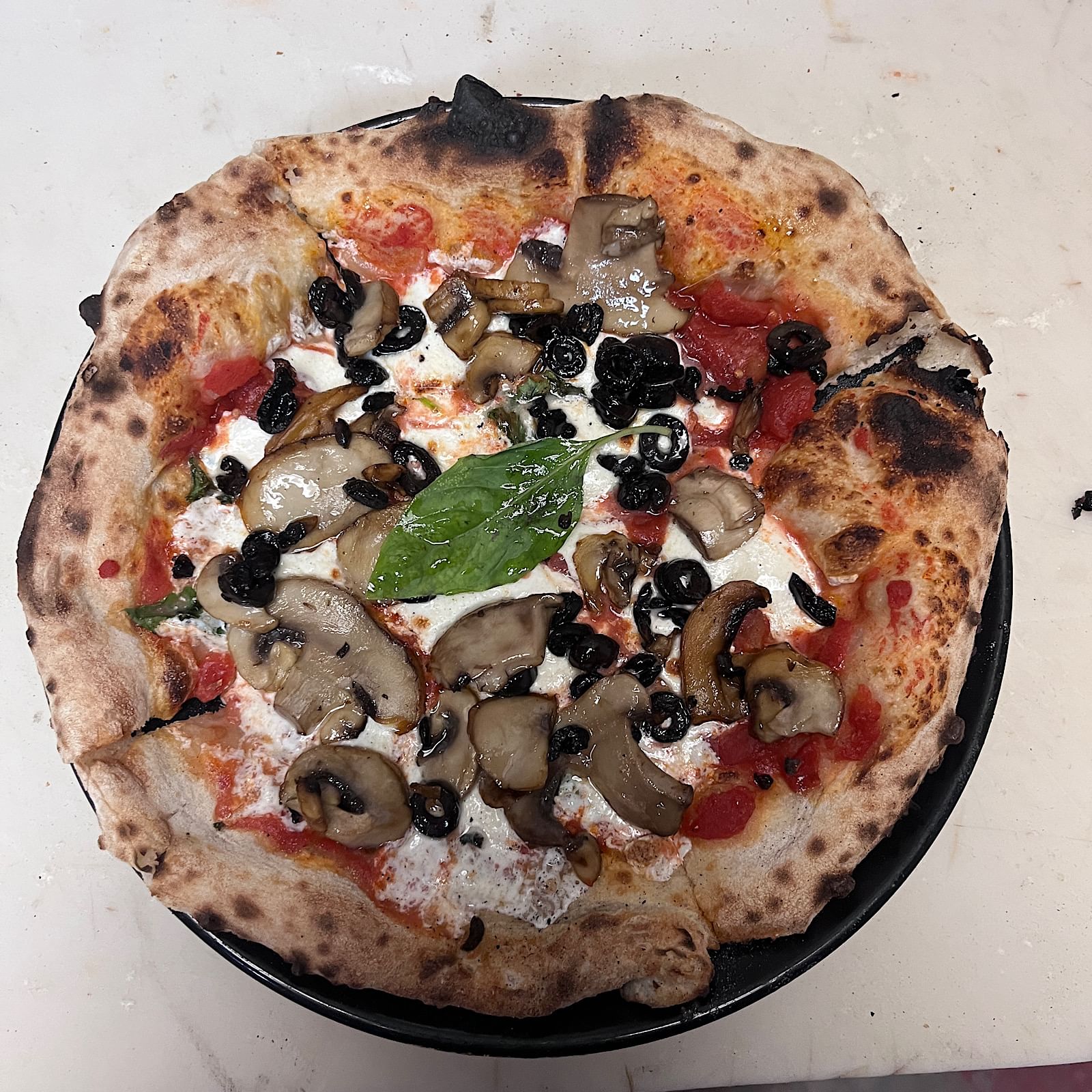 Pizza ai Funghi "Cheese Pizza With Mushroom"