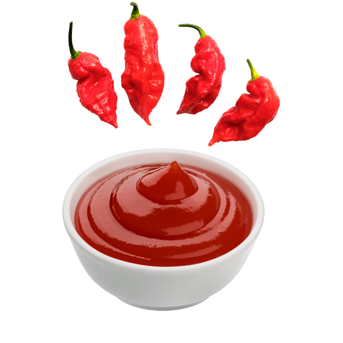 Side of Ghost Pepper Ketchup