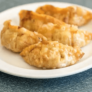 Gyoza.