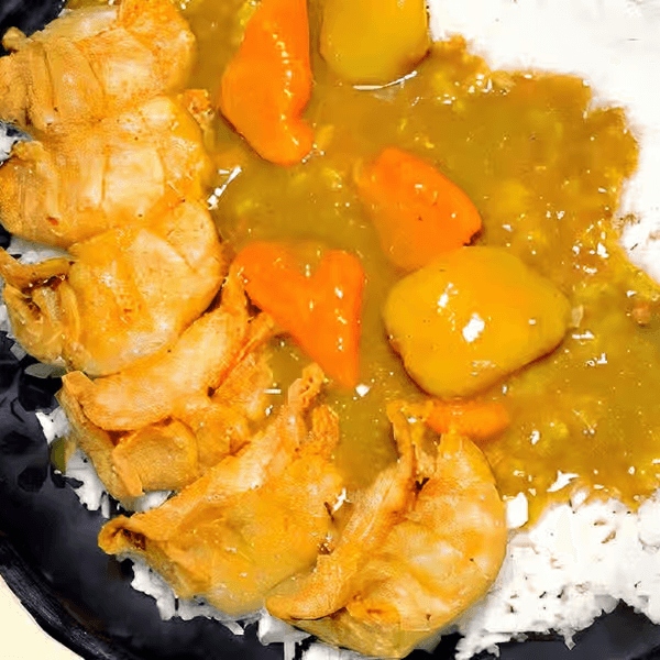 Deep Fried Gyoza Curry Rice
