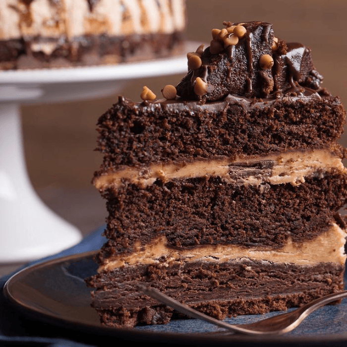 Peanut Butter Blast Extreme Cake 