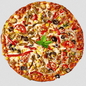 Premium Vegetarian Pizza (Medium)