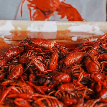 Crawfish Fresh Louisiana Red