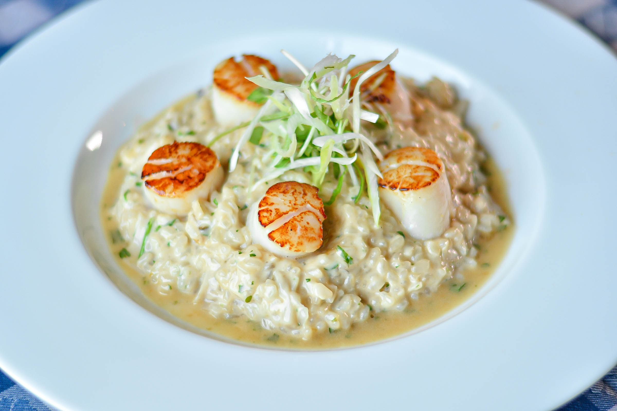 Seared "Hokkaido" Scallops | Risotto.