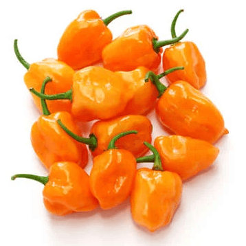 Extra Side of Habanero