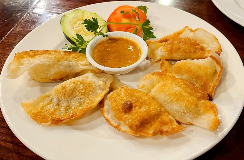 23. Malaysian Curried Chicken Potstickers (6)