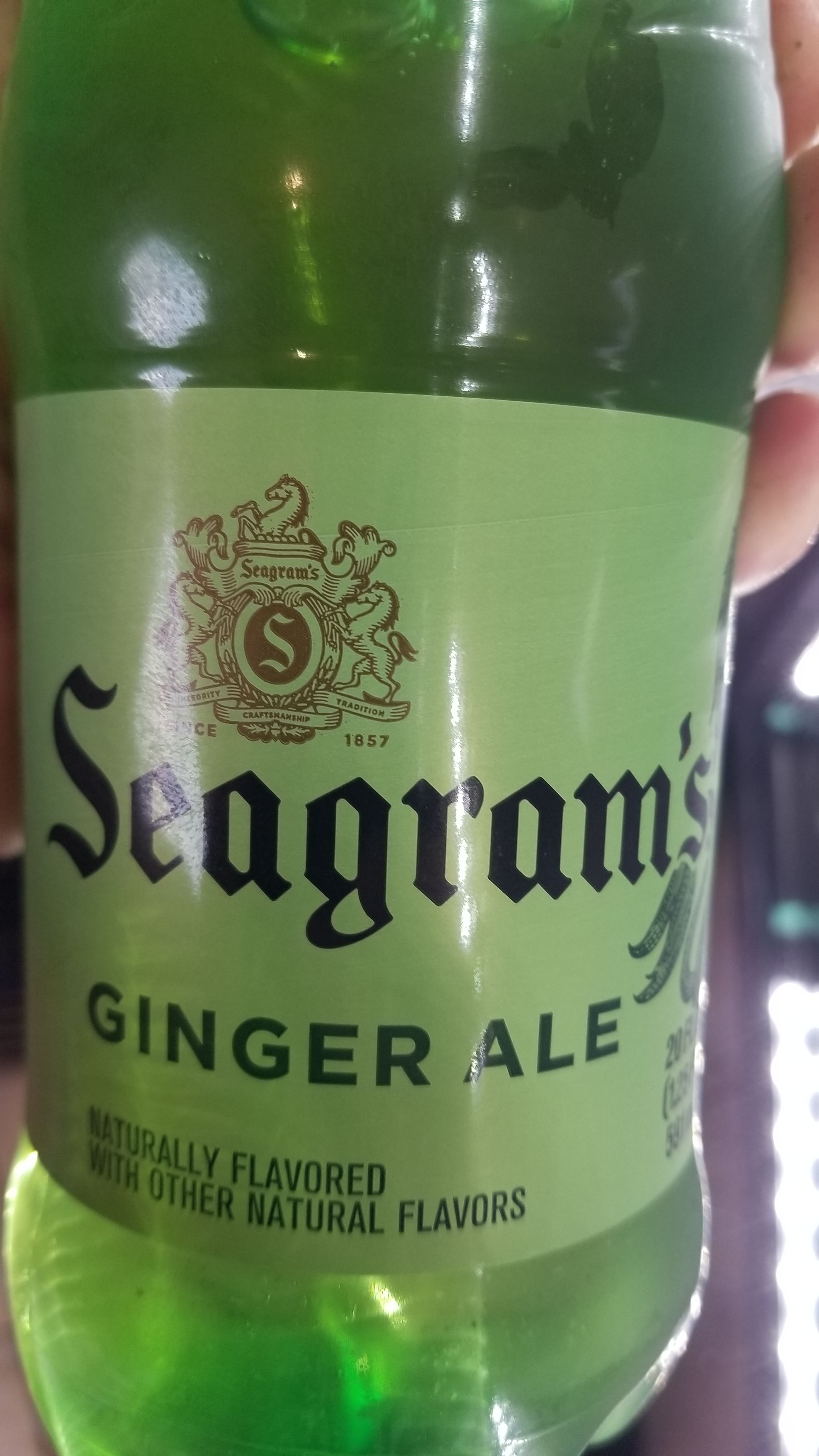 Ginger Ale 12oz can