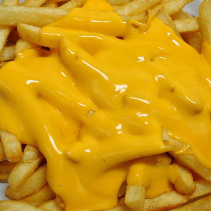 CHEESE FRIES