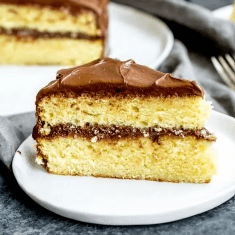 Yellow Cake with Chocolate Icing
