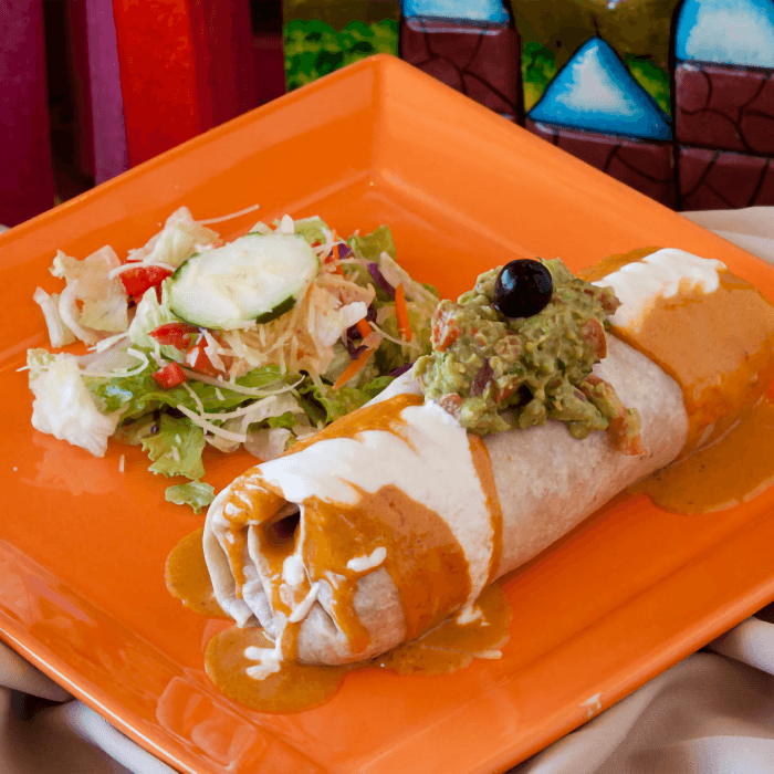 Fajita Style Burrito