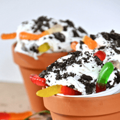 Dirt Cup