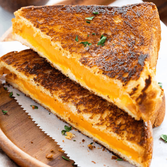 Grilled Cheese with Fries