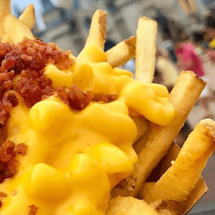 #8. Mac N' Cheese with Fries