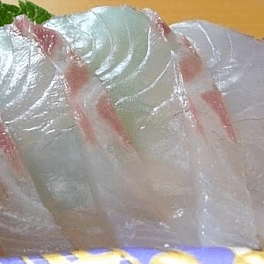 Madai Sashimi