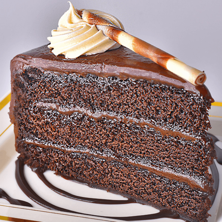 Chocolate Fantasy Cake