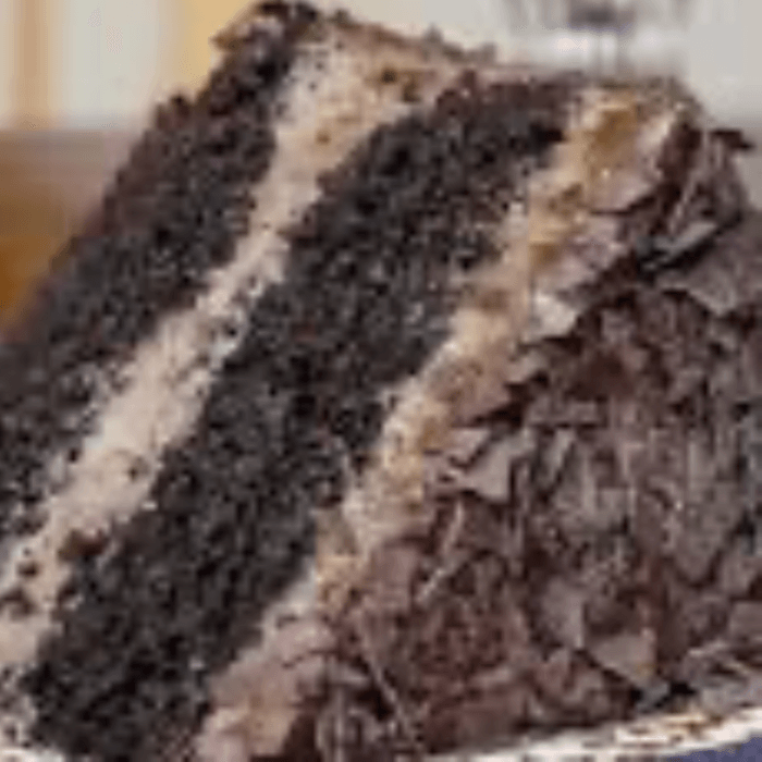 Double Chocolate Cake