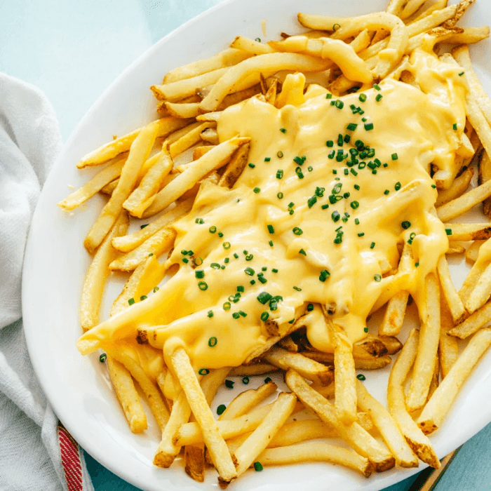 Fries with Cheese 
