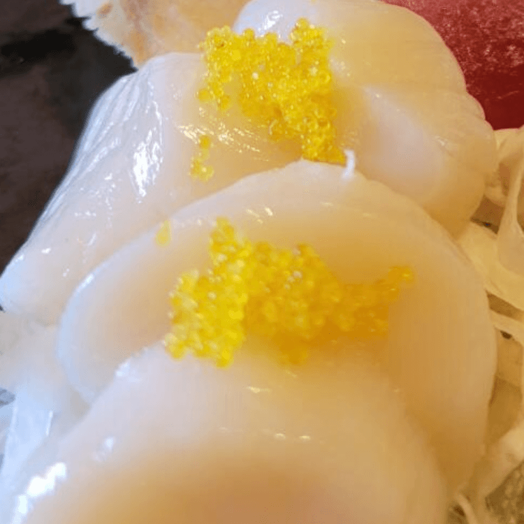 Diver Scallop - Hotate Sashimi.
