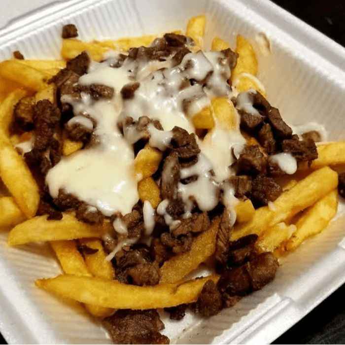 Carne Asada Fries with Cheese