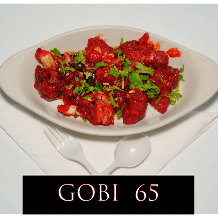 Gobi 65.