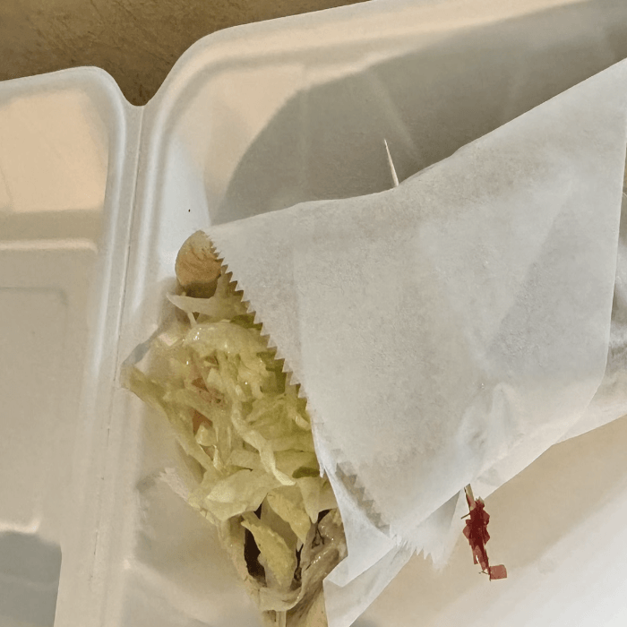 Gyro Only