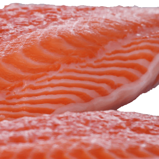 Fresh Salmon Fillets