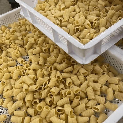 Homemade Pasta with Your Sauce