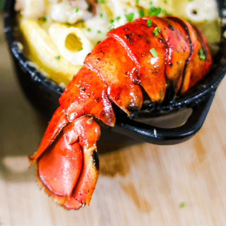Delicious Lobster Dishes to Try