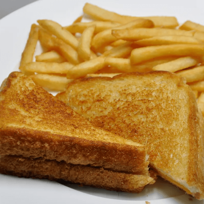 GRILLED CHEESE & FRIES.