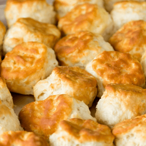 Biscuit