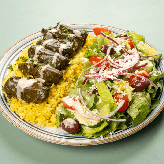 Grape Leaves Combo Plate