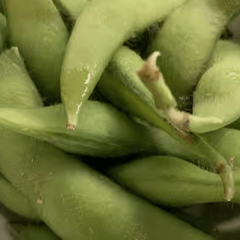 Edamame